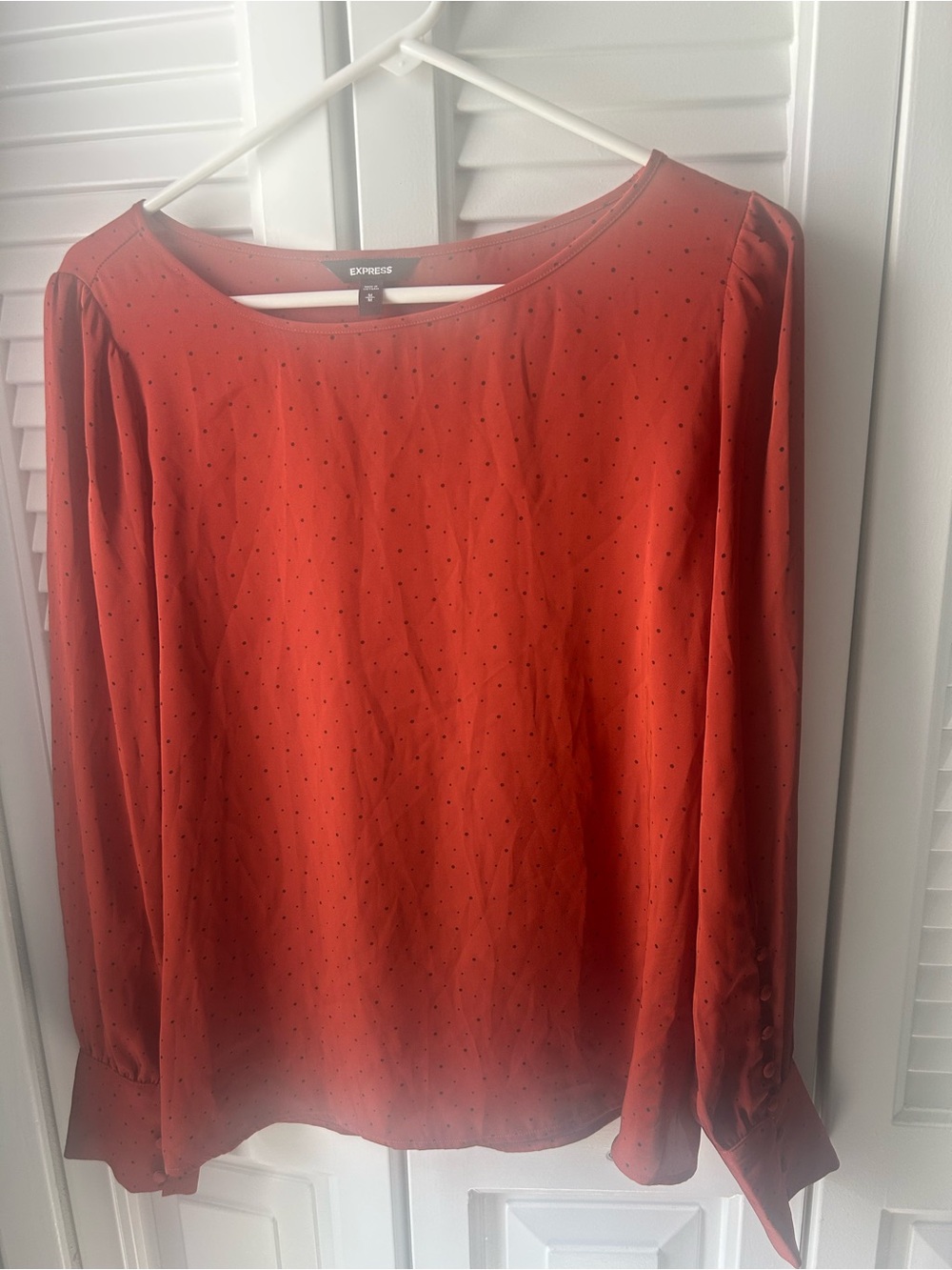 Express Women's Rust Orange Long-Sleeve Blouse with Subtle Dot Print